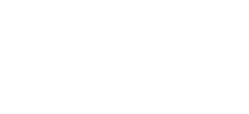 RWA Schutzziele